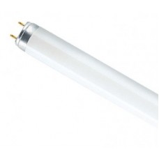 Лампа люм. OSRAM 36W 765 T8 G13 6500K