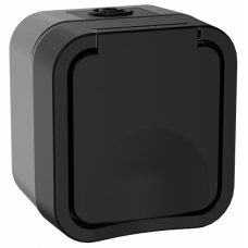 Розетка IEK TORS TS-R16-16-55-K53 1-я с з/к кр. 16А IP55 TS120 графит Розетка IEK TORS TS-R16-16-55-K53 1-я с з/к кр. 16А IP55 TS120 графит